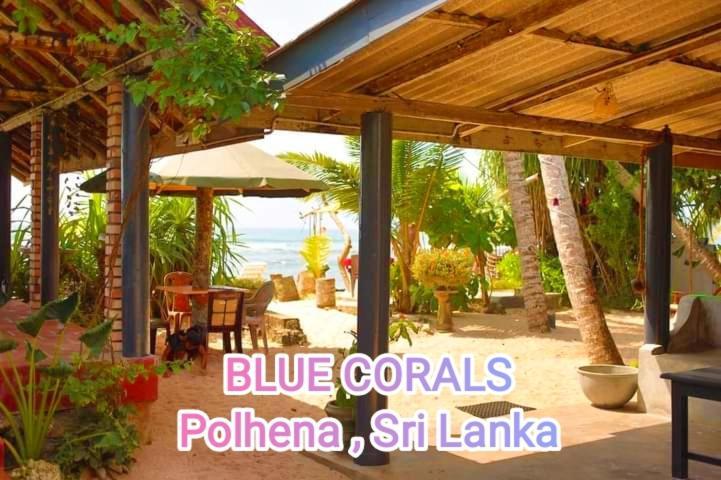 Blue Corals Beach Bungalow Matara Bagian luar foto