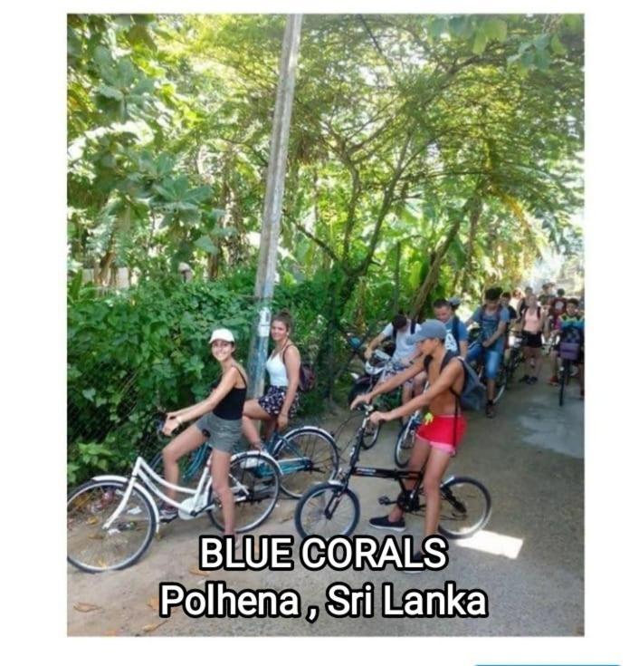 Blue Corals Beach Bungalow Matara Bagian luar foto