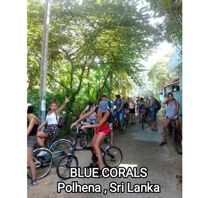 Blue Corals Beach Bungalow Matara Bagian luar foto