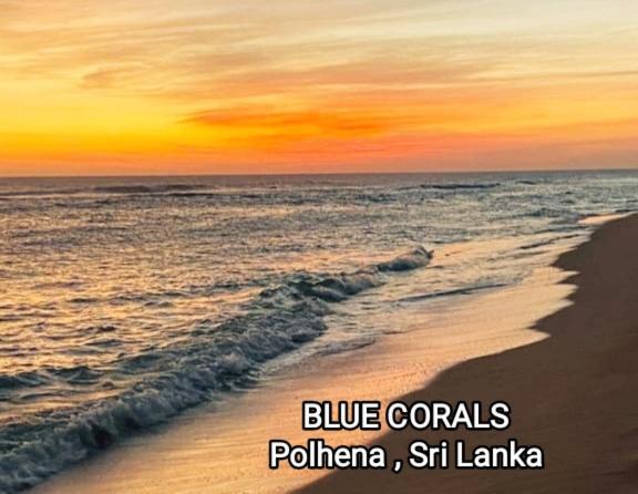 Blue Corals Beach Bungalow Matara Bagian luar foto