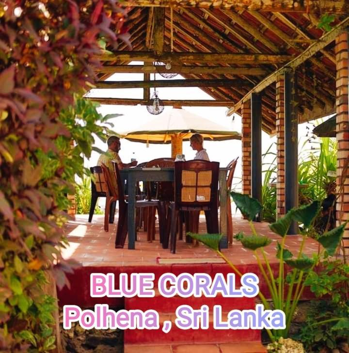 Blue Corals Beach Bungalow Matara Bagian luar foto