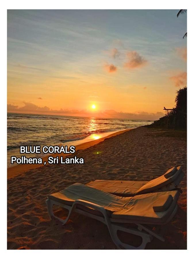 Blue Corals Beach Bungalow Matara Bagian luar foto