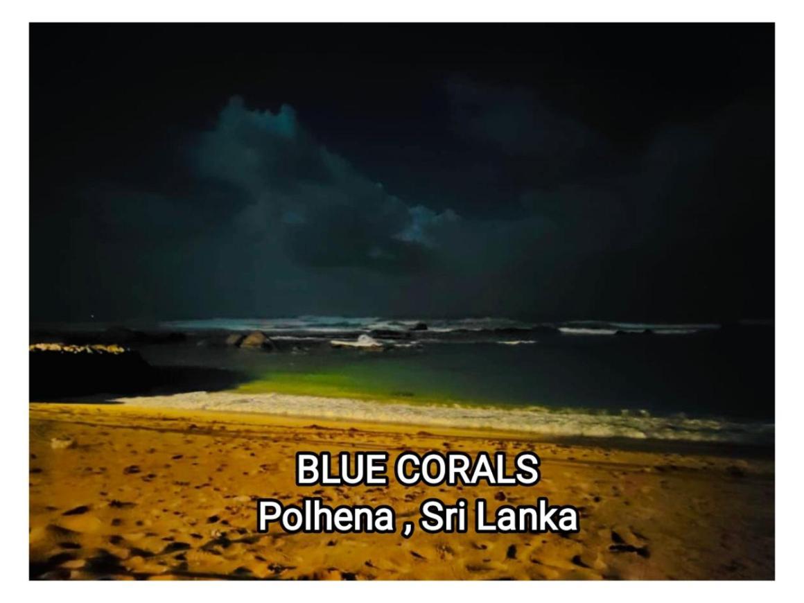 Blue Corals Beach Bungalow Matara Bagian luar foto