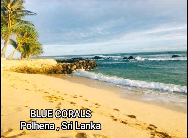 Blue Corals Beach Bungalow Matara Bagian luar foto