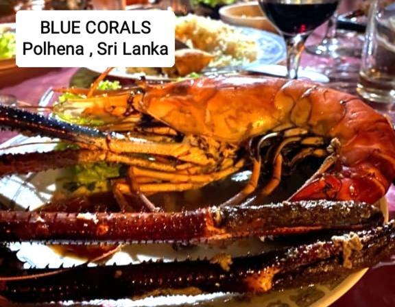 Blue Corals Beach Bungalow Matara Bagian luar foto