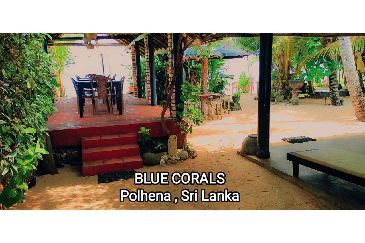 Blue Corals Beach Bungalow Matara Bagian luar foto