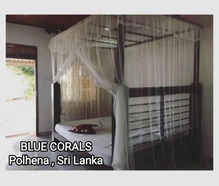 Blue Corals Beach Bungalow Matara Bagian luar foto
