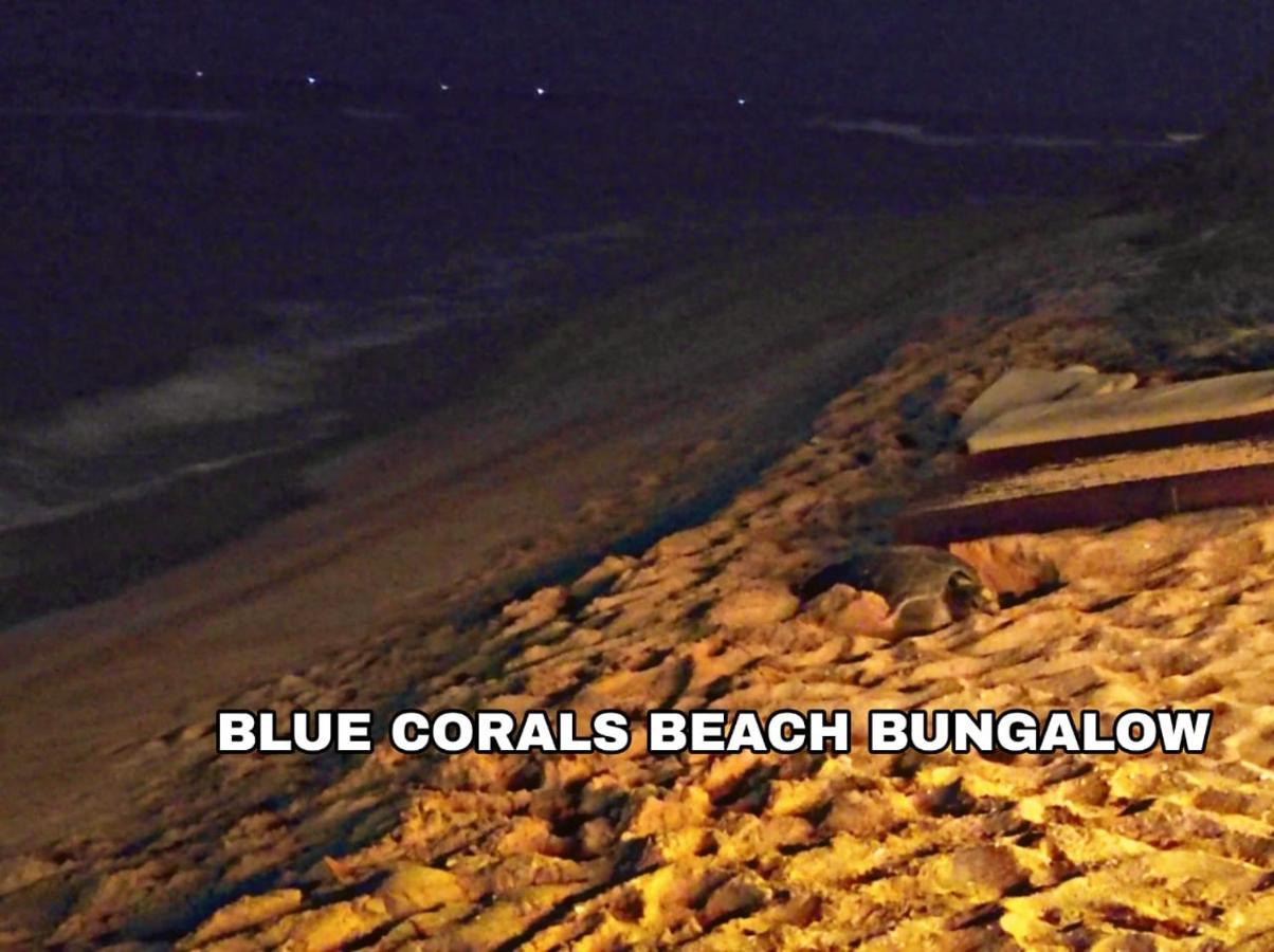 Blue Corals Beach Bungalow Matara Bagian luar foto