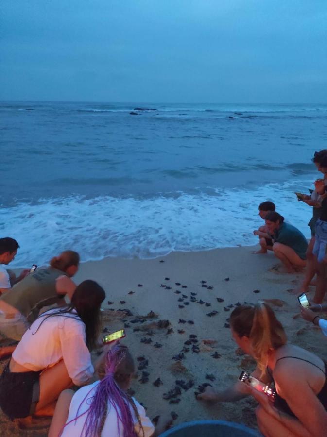 Blue Corals Beach Bungalow Matara Bagian luar foto